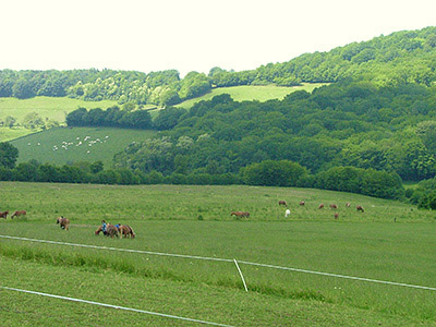 Centre Equestre Poney-Club de Prunevaux 58 Nievre Bourgogne