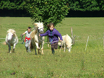 Centre Equestre Poney-Club de Prunevaux 58 Nievre Bourgogne
